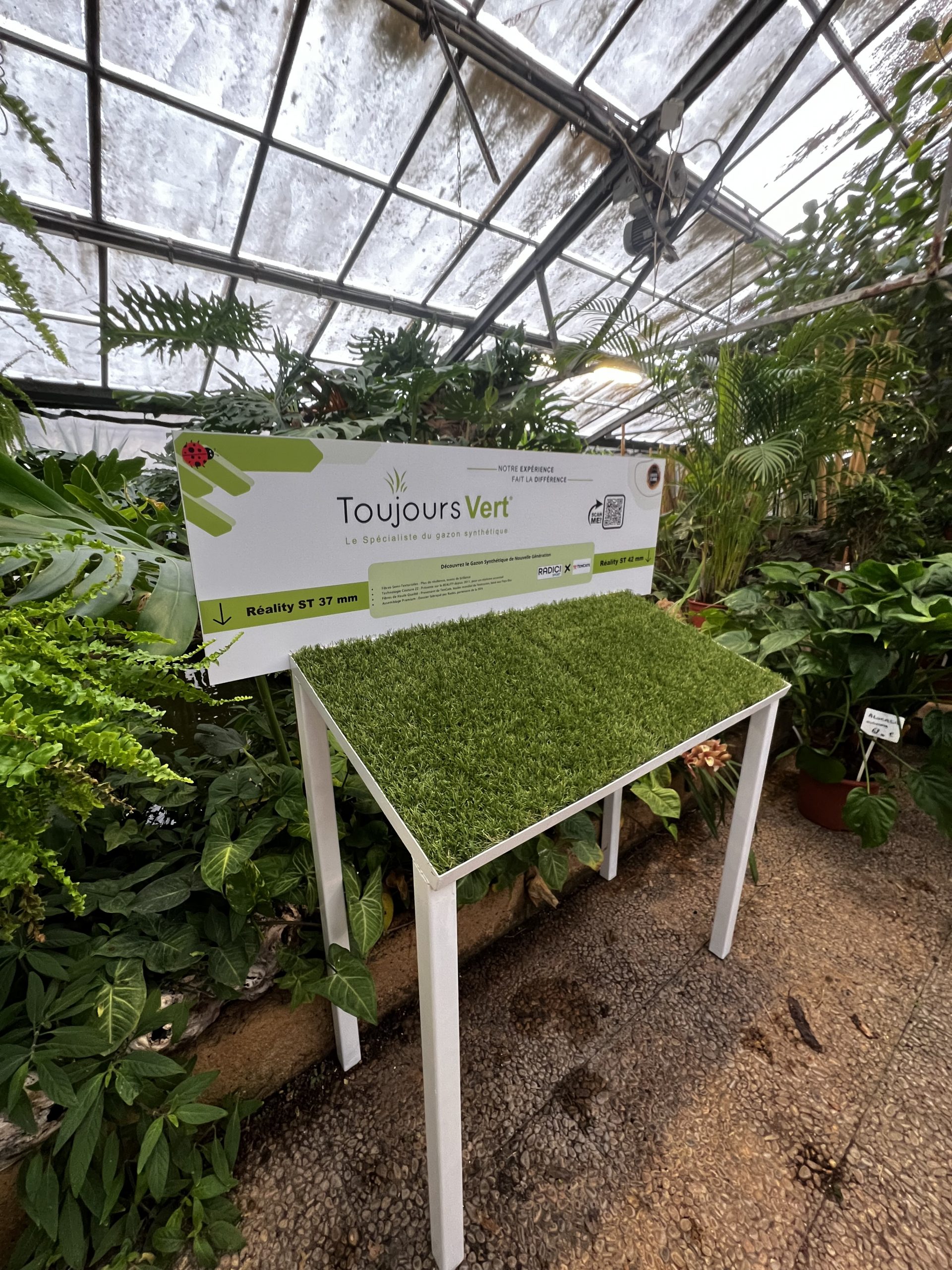 Découvrez les Nouveaux Présentoirs de Toujours Vert 34