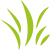 icone-logo-toujours-vert