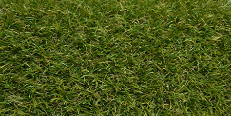 détail du gazon reality-st en 2024